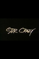 Poster di Stir Crazy