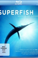 Poster for National Geographic: Superfish