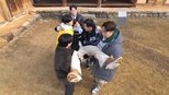 1박 2일 4x160 (S04E160)