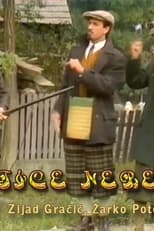Ptice nebeske poster