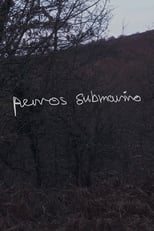 Poster for Perros submarino 