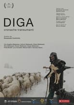 Poster for Diga