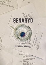 Senaryo