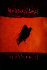 Poster for Les oiseaux blancs, les oiseaux noirs 