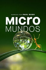 Póster de Temporada 1 — Micromundos
