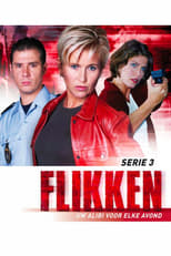 Poster for Flikken Season 3
