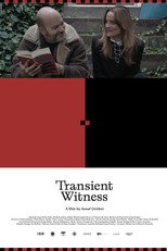 Transient Witness poster