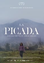 Poster for La Picada 