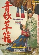 Poster for A Red-and-blue Gauze Lantern