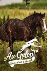 Au galop ! une saison à cheval