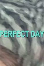 Poster for Perfect Day