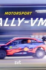 Poster for Motorsport Rally-VM