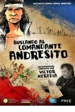 Poster for Buscando al comandante Andresito 