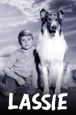 Poster for Lassie Season 19