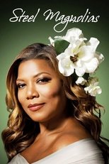 Steel Magnolias main poster