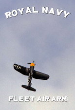 Navy Pilots: Fleet Air Arm poster