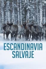 Escandinavia salvaje