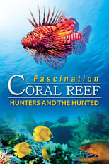 Poster for Fascination Coral Reef: Hunters and the Hunted 