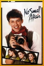 Poster for No Small Affair 