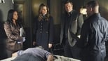 Imagen Castle 4x10