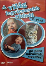 World's Funniest Videos poster