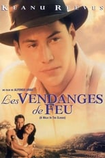 Les vendanges de feu serie streaming