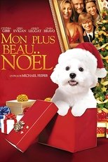 Mon plus beau Noël poster