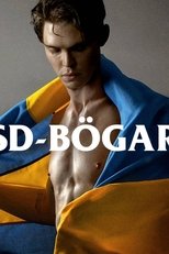 Poster for SD-Bögar