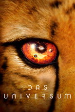 Das Universum
