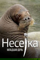 Neseyka: The Youngest Daughter main poster