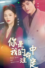 你是我的命中注定 poster