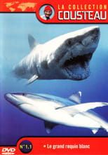 Poster for La Collection Cousteau N° 1-1 | Le Grand Requin Blanc