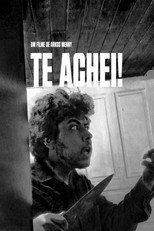 Te Achei! poster