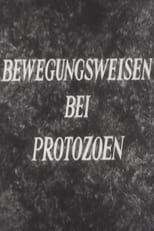 Poster for Bewegungsweisen bei Protozoen 