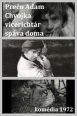 Adam Chvojka vicerichtár poster