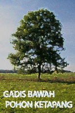 Girl Under the Ketapang Tree poster
