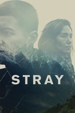 Poster for Stray