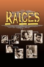 Raices Retro