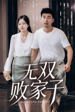 无双败家子 poster