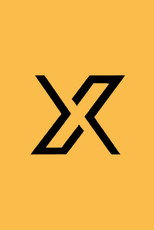 X调查 poster