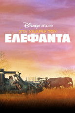 Στα Χνάρια του Ελέφαντα