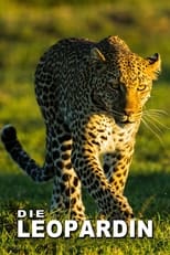 Poster di Die Leopardin