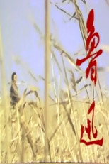鲁迅 poster