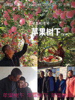 苹果树下 poster