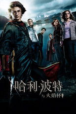 哈利·波特与火焰杯
