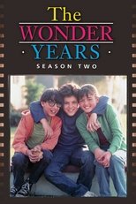 Poster for The Wonder Years Season 2