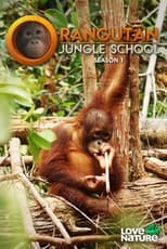 Poster for Orangutan Jungle School Season 1