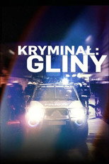 Kryminał: Gliny poster