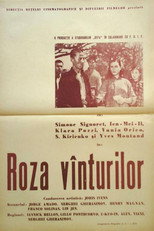 Roza vânturilor / Roza vînturilor
