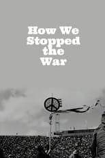 Poster for How We Stopped the War